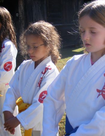 Seichou Karate Ltd.