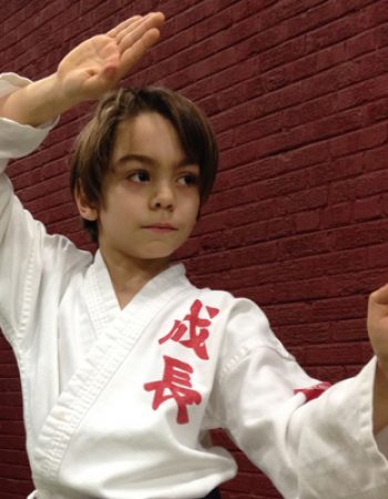 Seichou Karate Ltd.