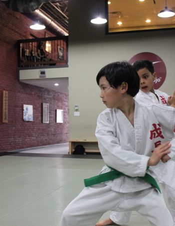 Seichou Karate Ltd.